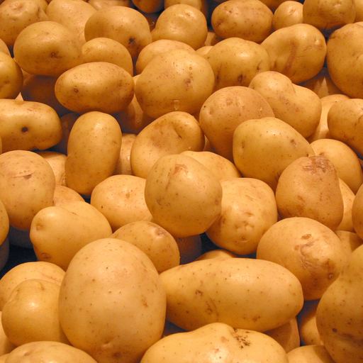 Potato!