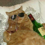 DrunkCat