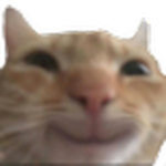 Catify