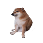 MemeSender